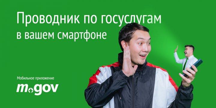 "Электронное правительство"