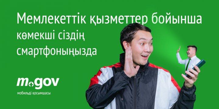 "Электронное правительство"